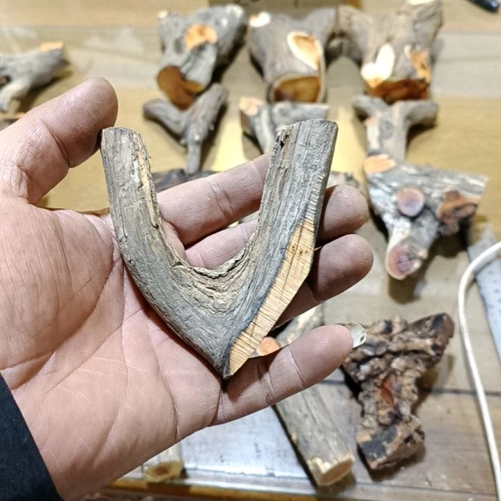 刘***部香榧木崖柏原叉崖柏原叉崖柏原叉