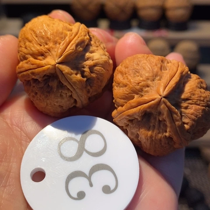 3号链接七彩粽子35尺寸