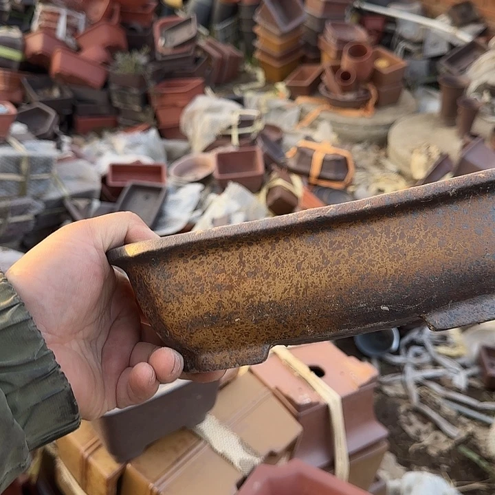 是因为她太喜欢了所以还是觉得不应该这么