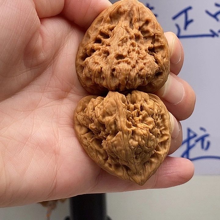 观***兰手串/手链核桃南疆