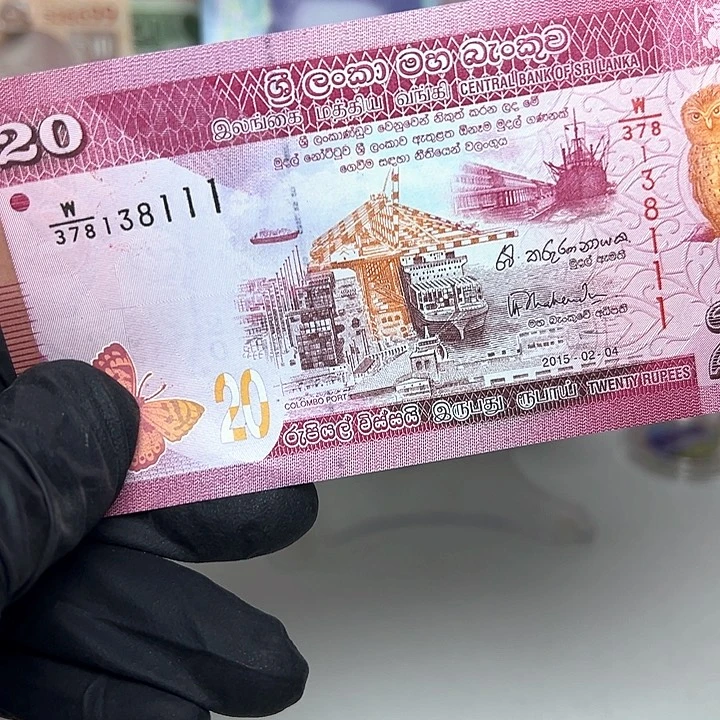 纸币斯里兰卡纸币111