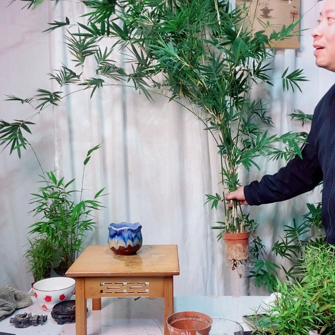 完全开放1111111111