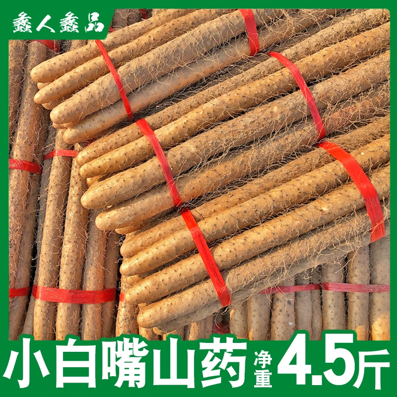 蠡人蠡品新鲜现挖软糯香河北蠡县小白嘴山药4.5斤装