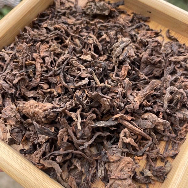 【锅底塘“某有林”挑采古树熟茶散料】2014年古树熟茶