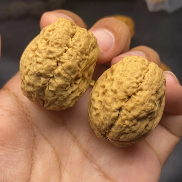 把件文玩核桃36尺脑纹金蟾