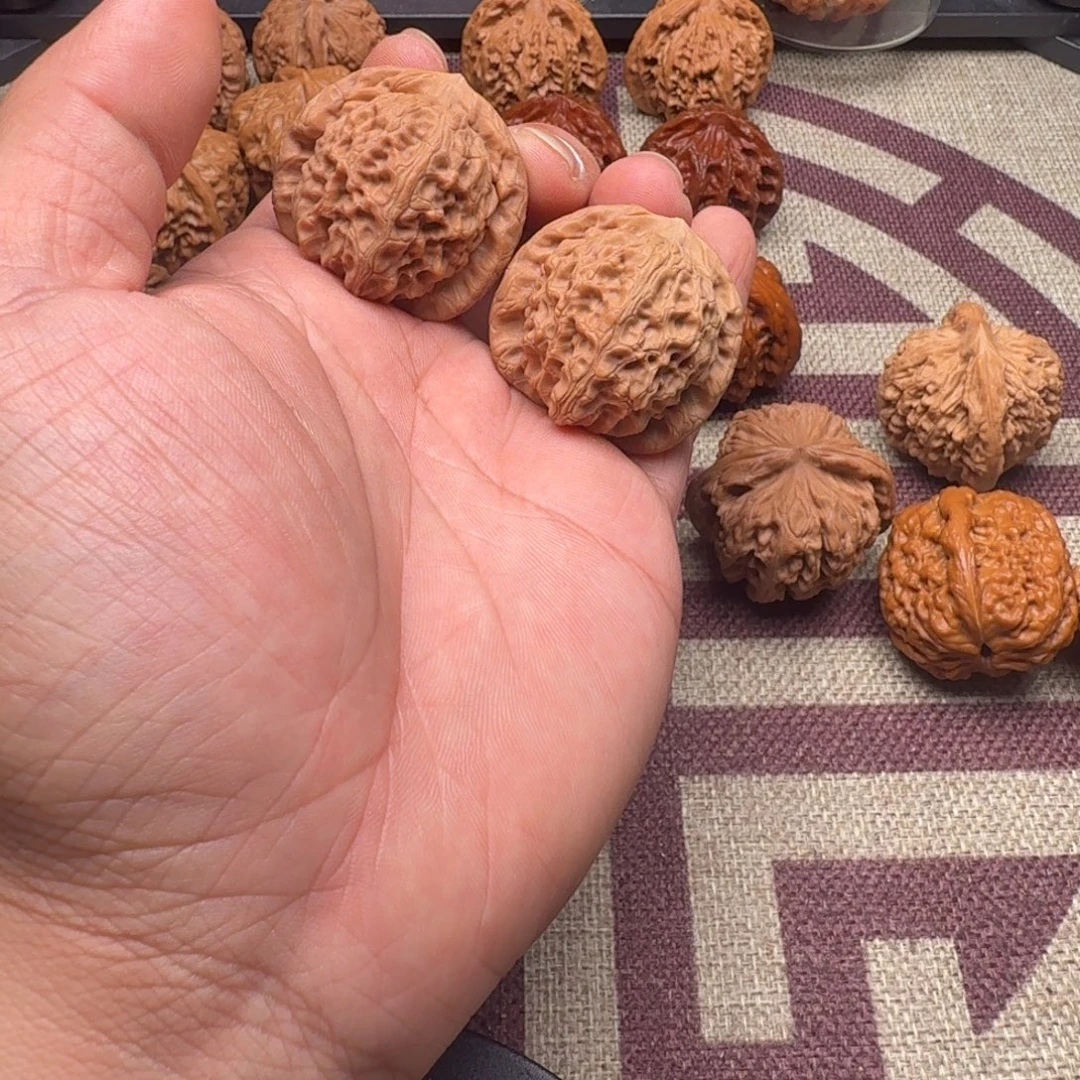 39全品毕业高尔夫核桃