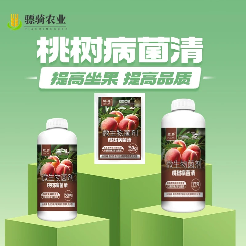 桃树病菌清复合微生物菌剂促进花芽分化提高授粉座果树专用叶面肥