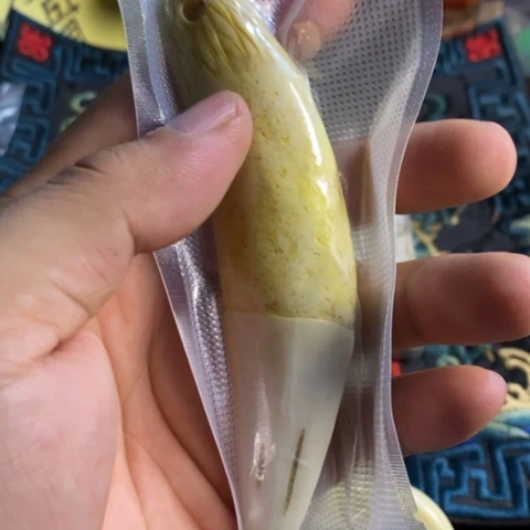 大哥专拍链接一号