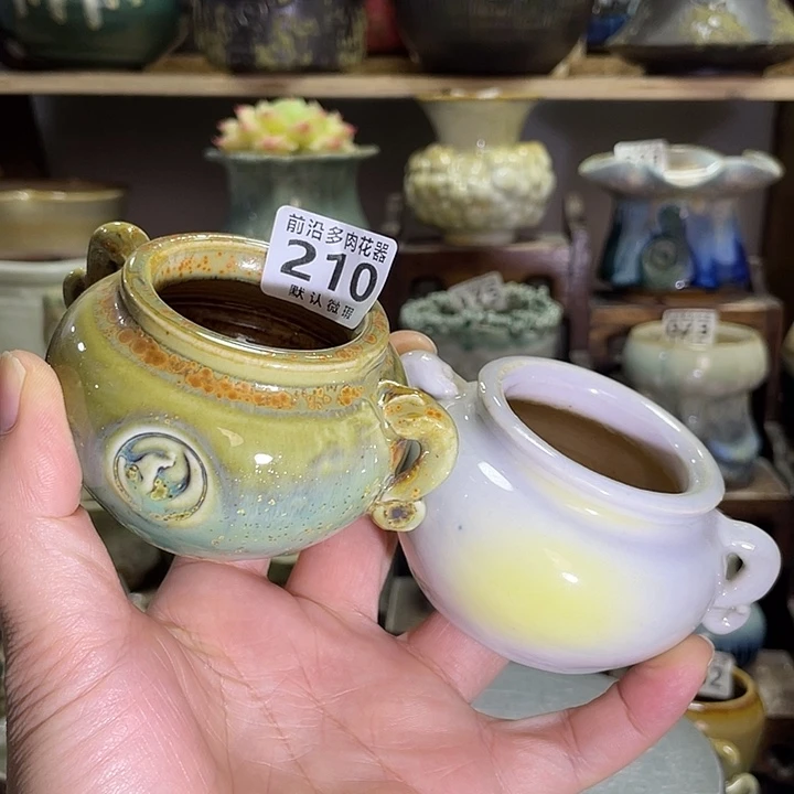 狼盆内口径4高度6