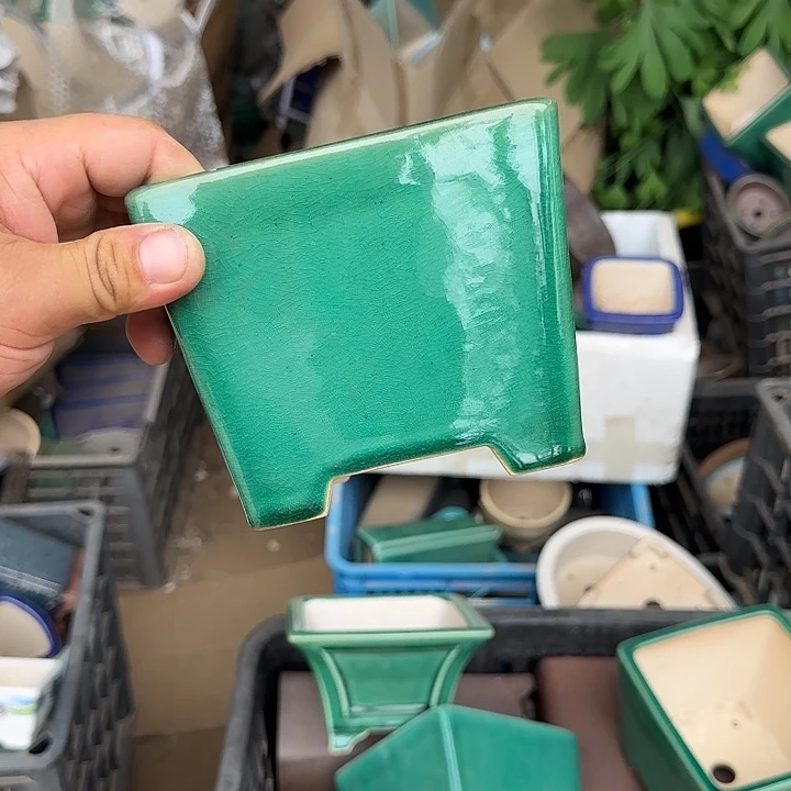 不用来咯哦啦啊哦啊