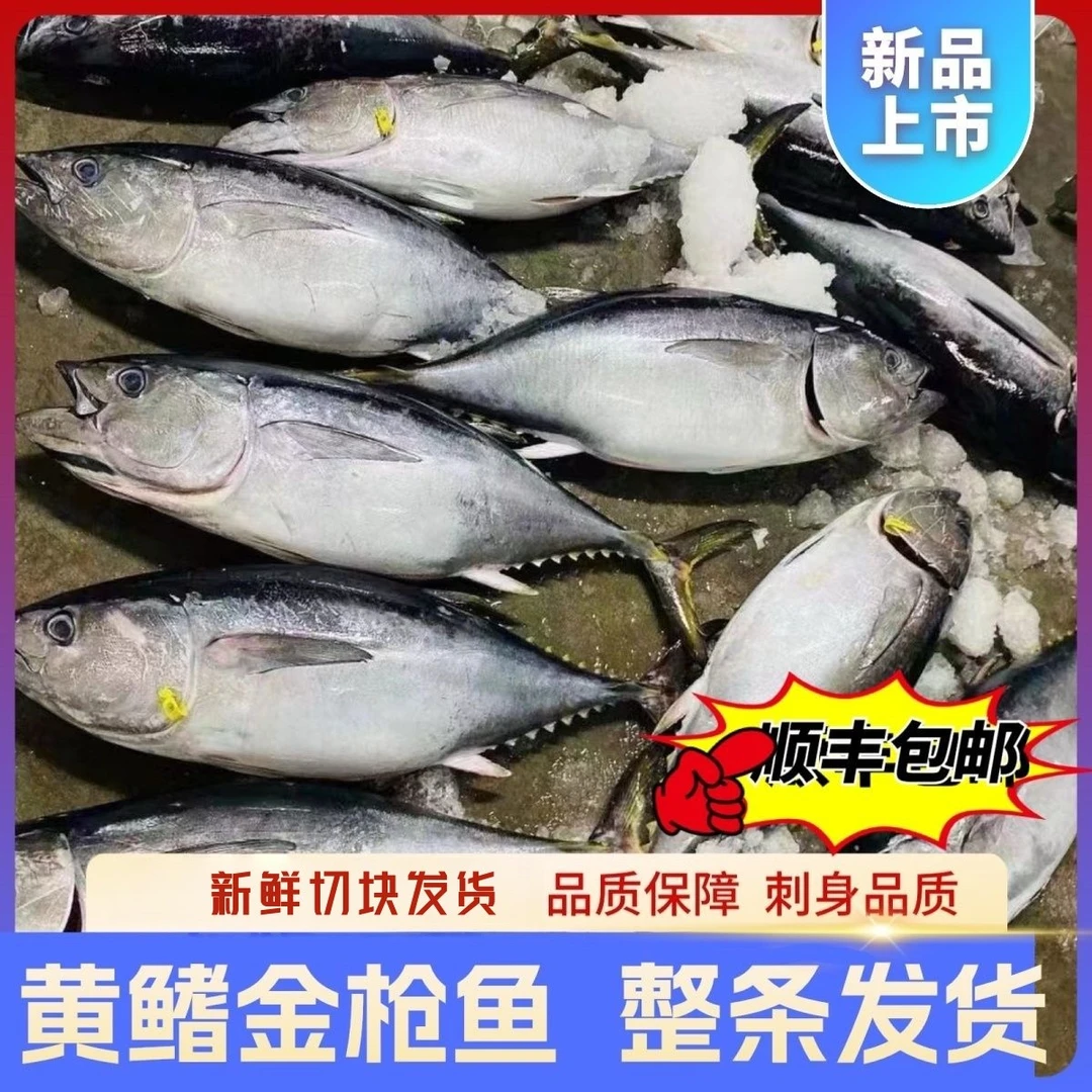 精品深海金枪鱼新鲜刺身无骨寿司料理生鱼片整条黄鳍金枪鱼