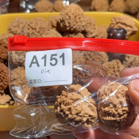 D****d正杨系列-正杨宫灯