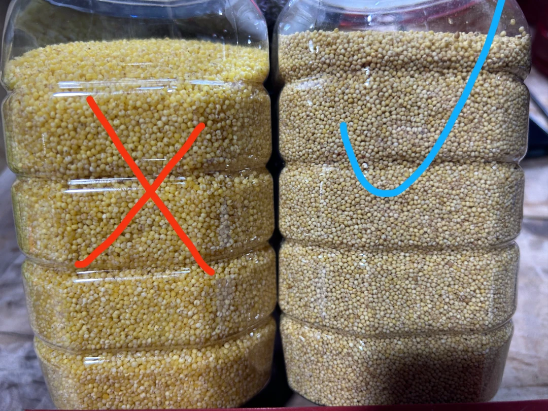 农家老品种小米糯糯的可以蒸干饭（2025新米）