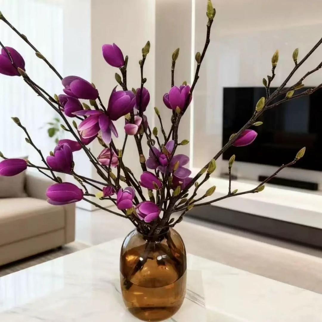 鲜切【带花苞发货】紫色玉兰鲜切枝带花苞室内外浓香水培耐寒绿植