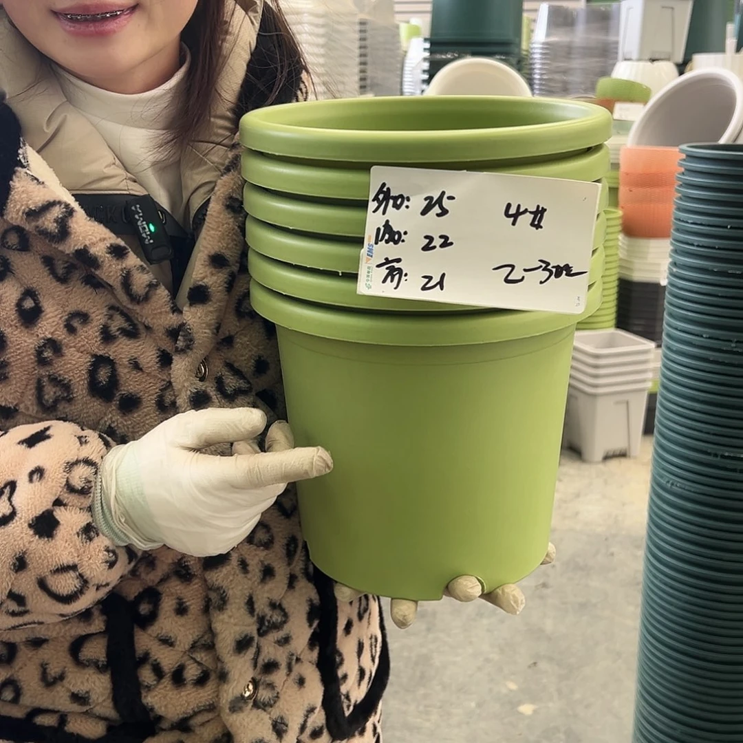 瑕疵四季盆4#果绿8个（含托）