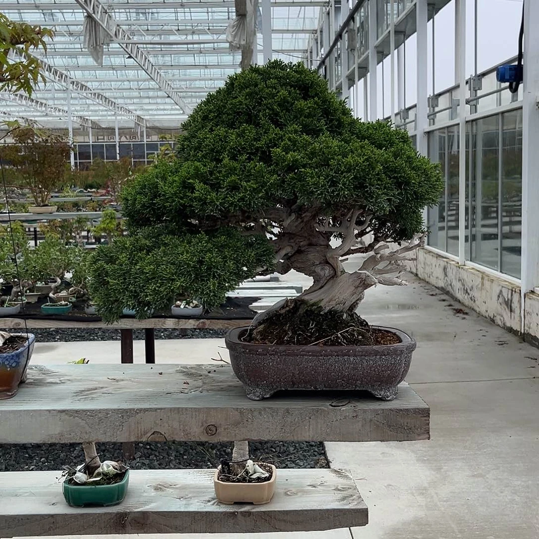 无花朵原生植物保护区内