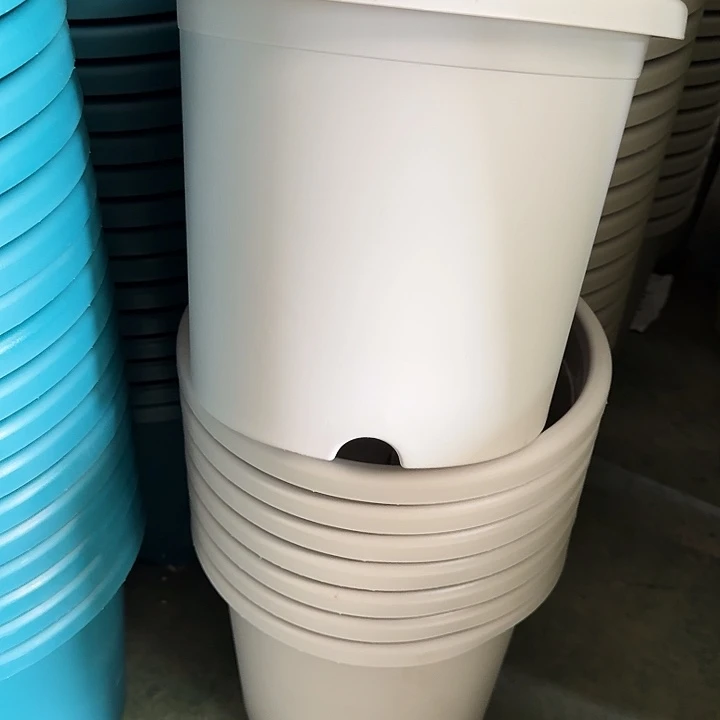 四季5号灰白无托10个特价微瑕