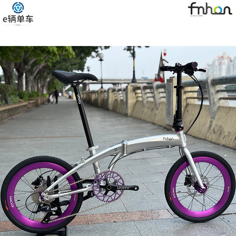 fnhon风行折叠车DG2018海豚车架全拉丝银HAOOi 昊乙轮组