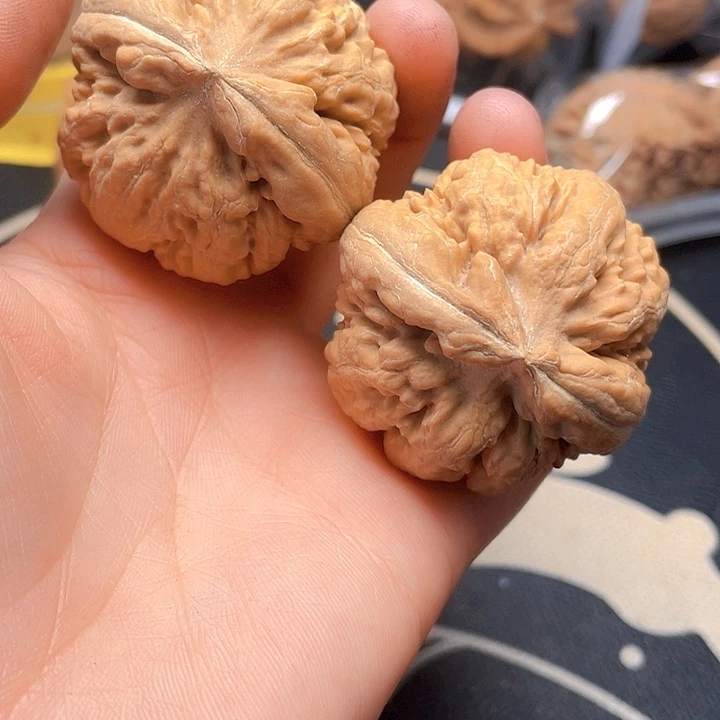 文玩核桃吊坠霸王龙一对