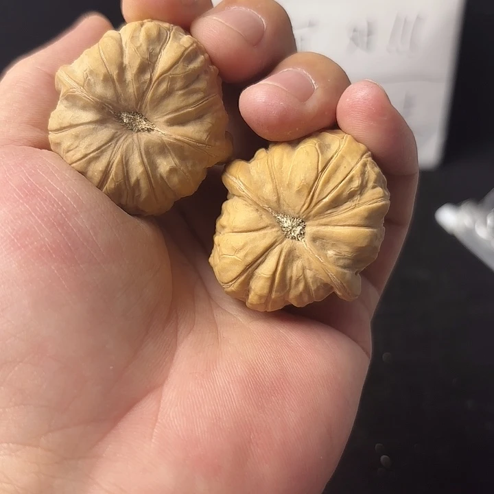 大叶紫檀（黑酸枝木类）11111111