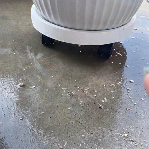 360万伦白色轮拖