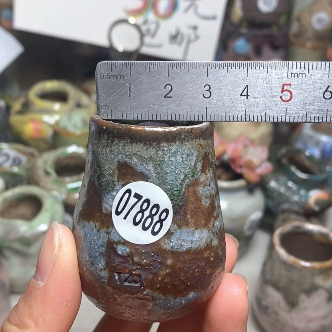 花盆拍5送一个小礼物