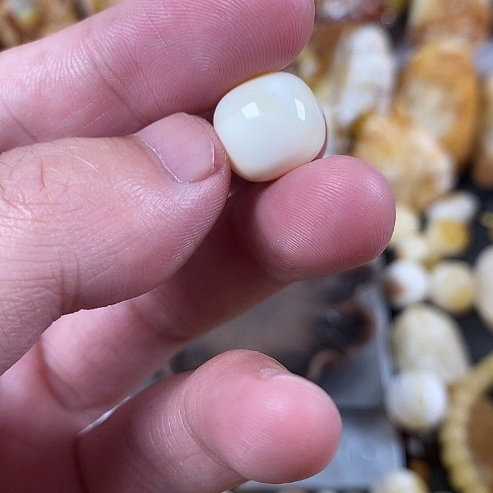 裸石琥珀未镶嵌我