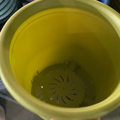 树脂四季7号果绿无托6个微瑕