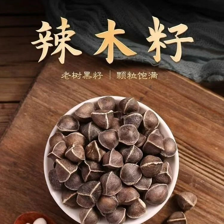 云南辣木籽新货大颗粒辣木子一手货源