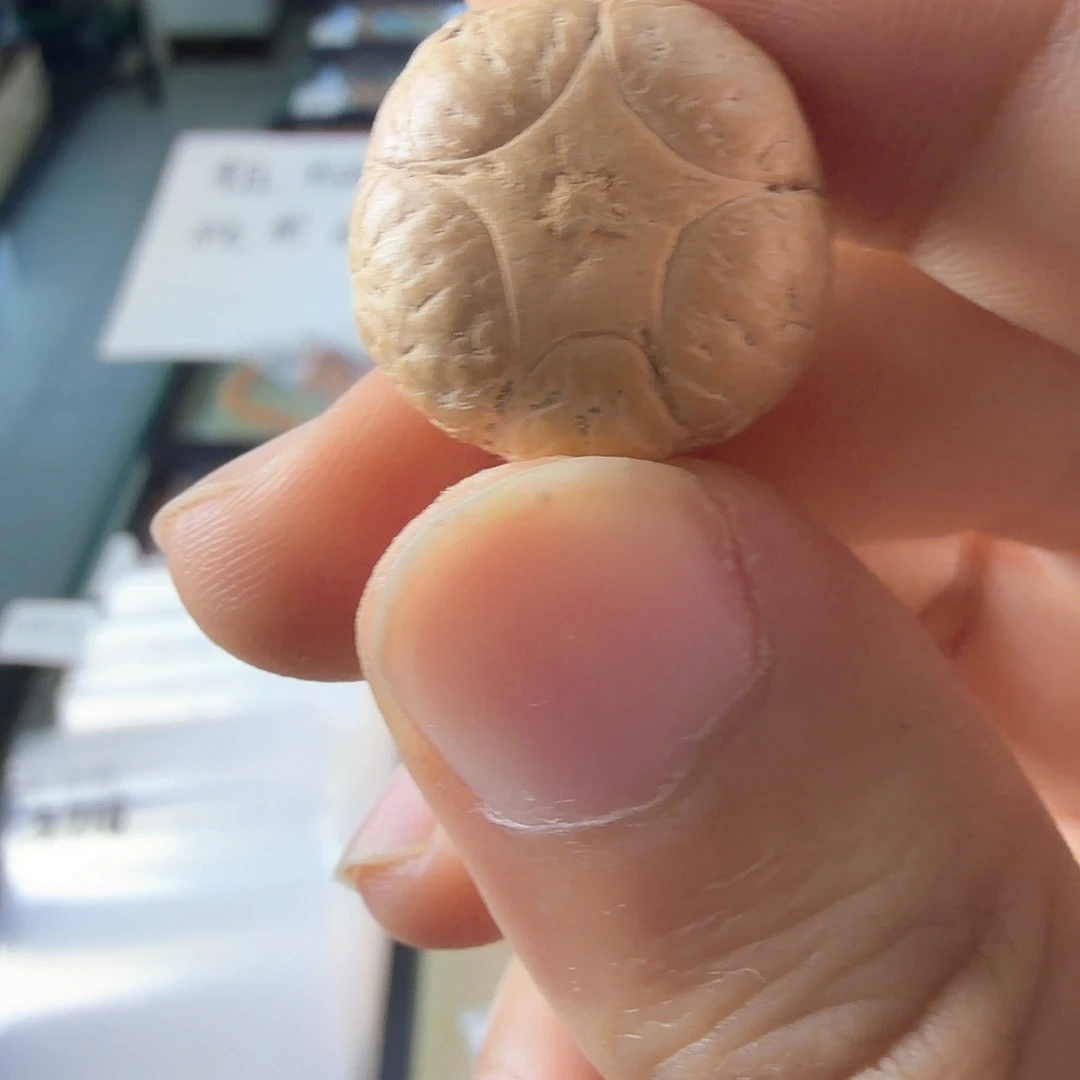 吊坠凤眼菩提3716三通