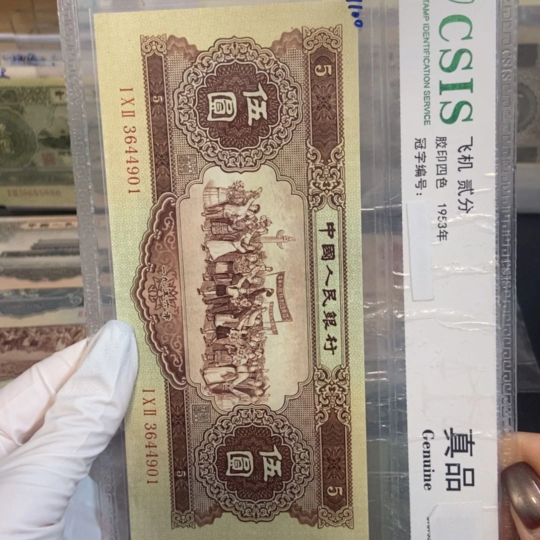 黄五901………………………………