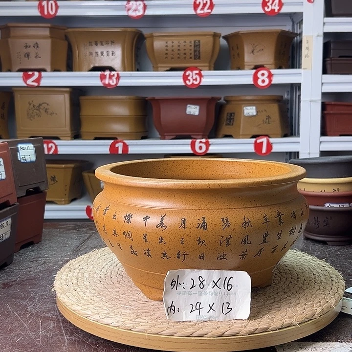 紫砂花盆蛇年大吉
