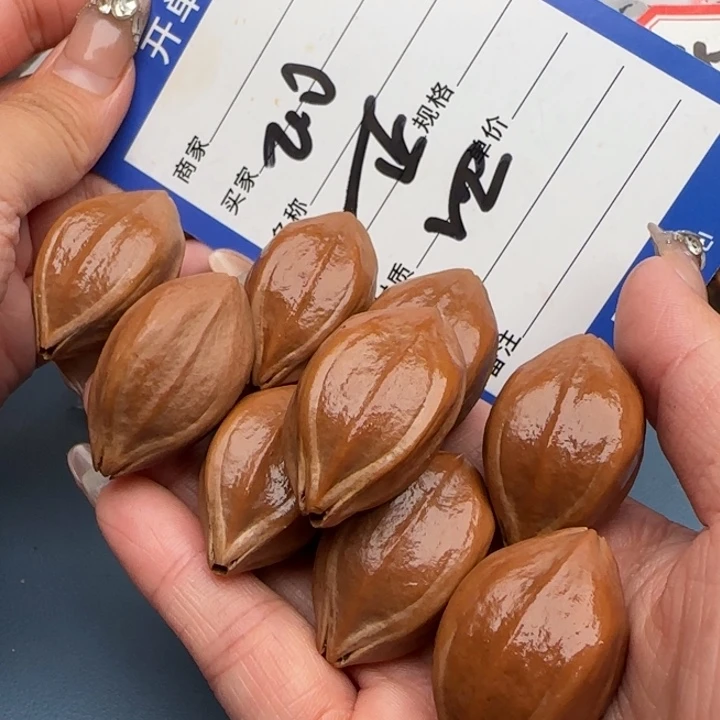 手串橄榄核橄榄核