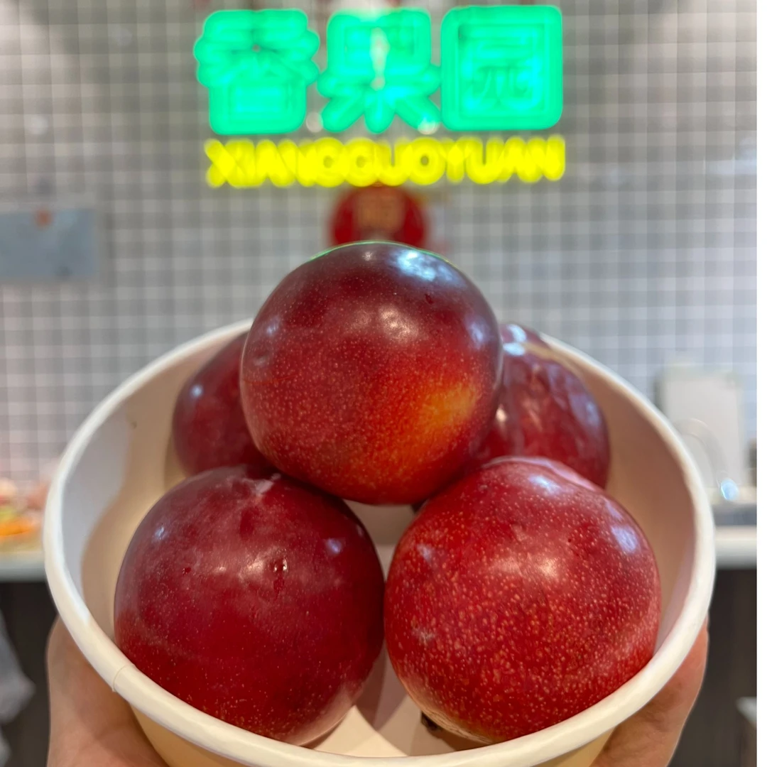【“红韵”阳李】智利进口太阳李一份