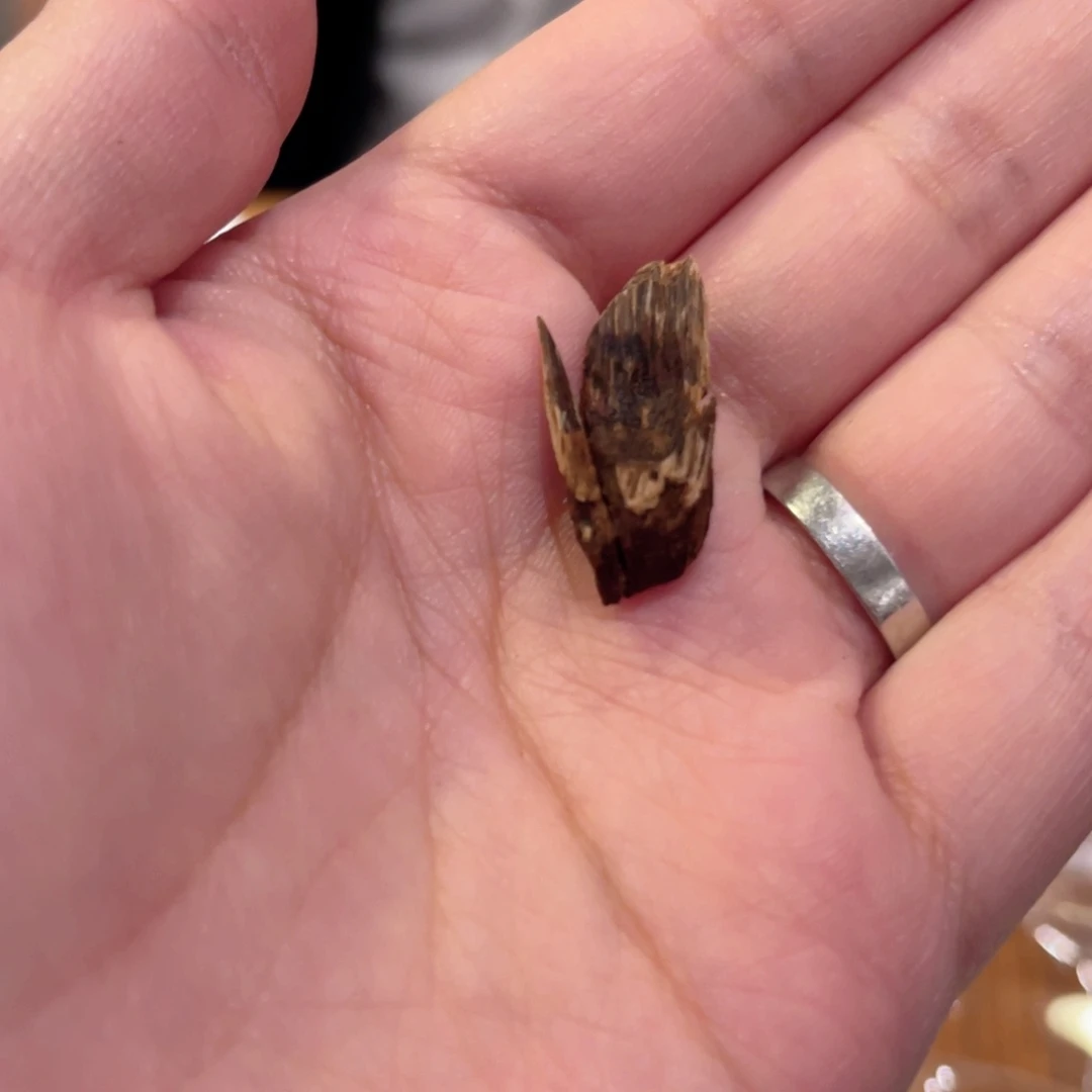 沉香吊坠海南沉水老香0.7g
