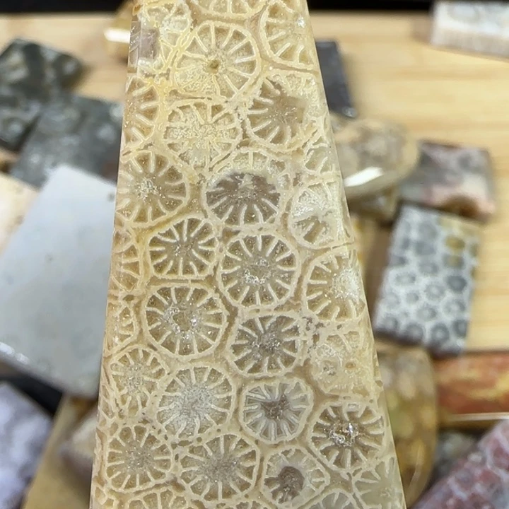 硅化玉合金颈饰奶茶色蕾丝