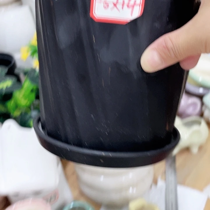 花盆花盆花盆花盆花盆花盆花盆