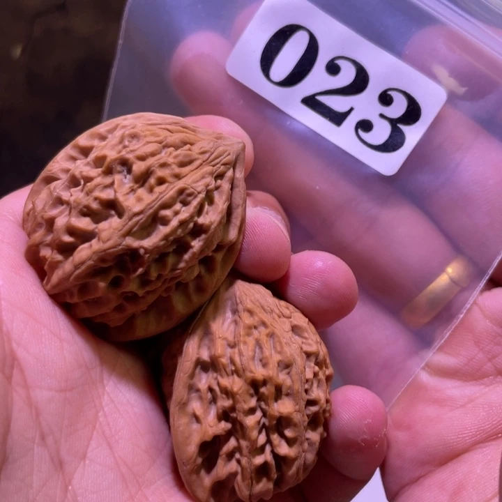 吊坠文玩核桃023金牛37尺