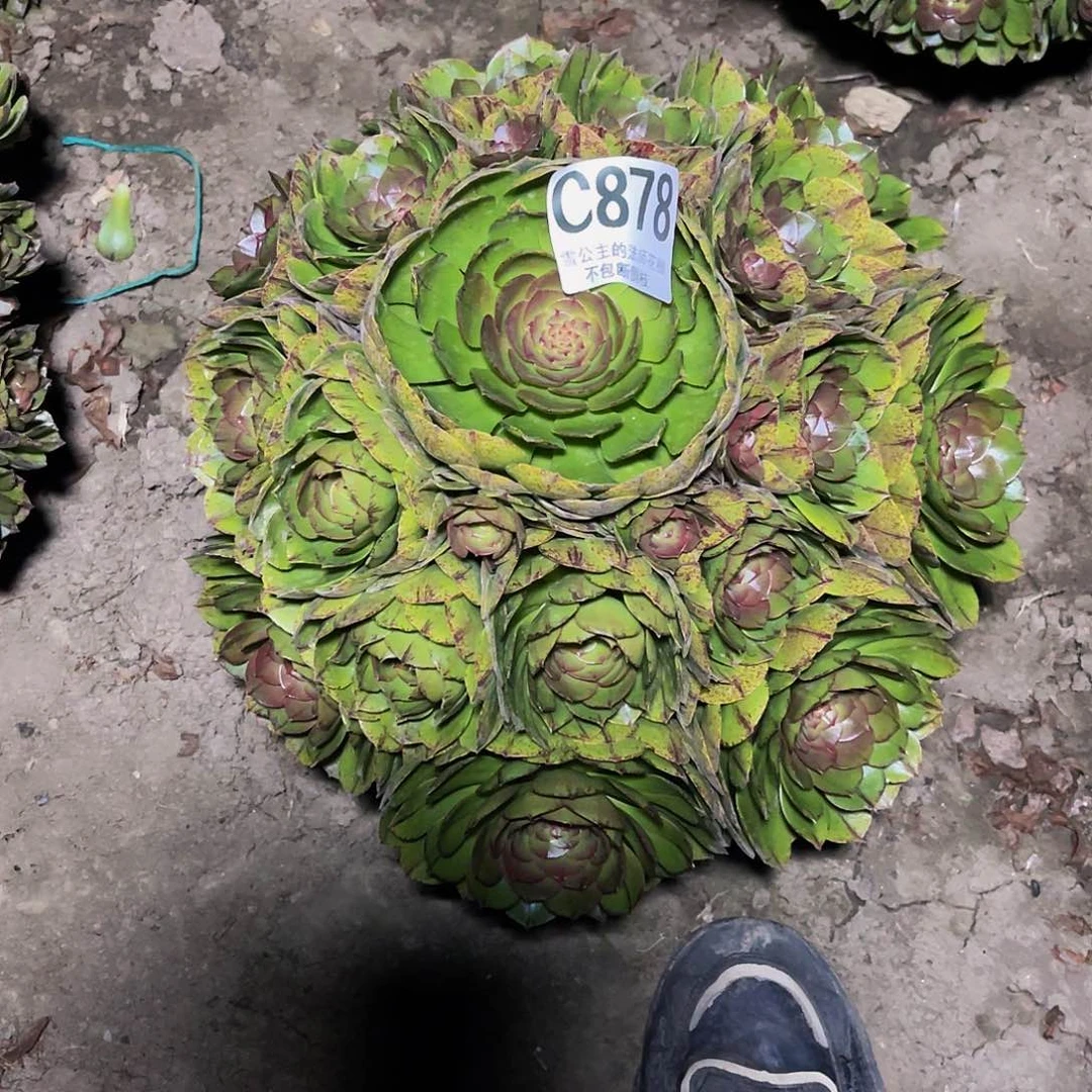 法师法师14–28包邮法师