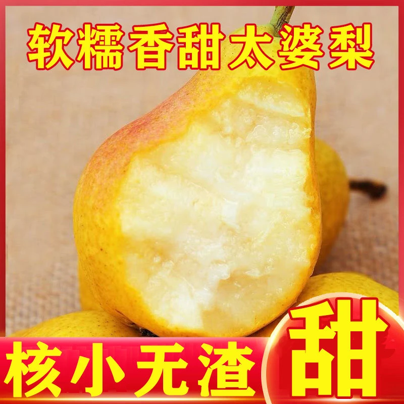 【放软吃】山西太婆梨产地直发现摘现发核小无渣口口爆甜巴梨香蕉梨