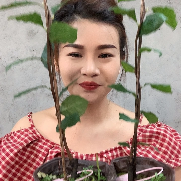 无花朵龙游天下32.8