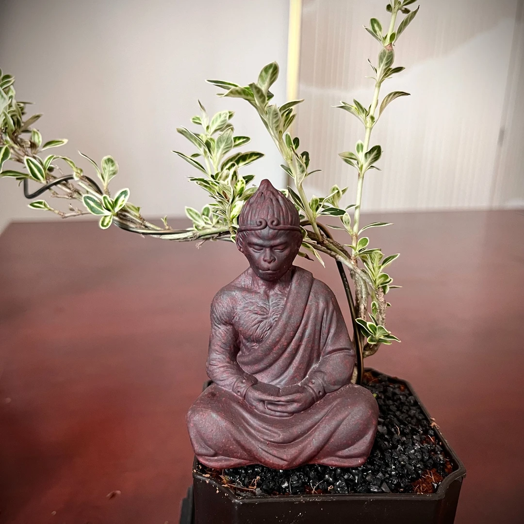 紫砂黑悟空可养茶宠盆景摆件鱼缸DIY大圣茶道茶玩中式