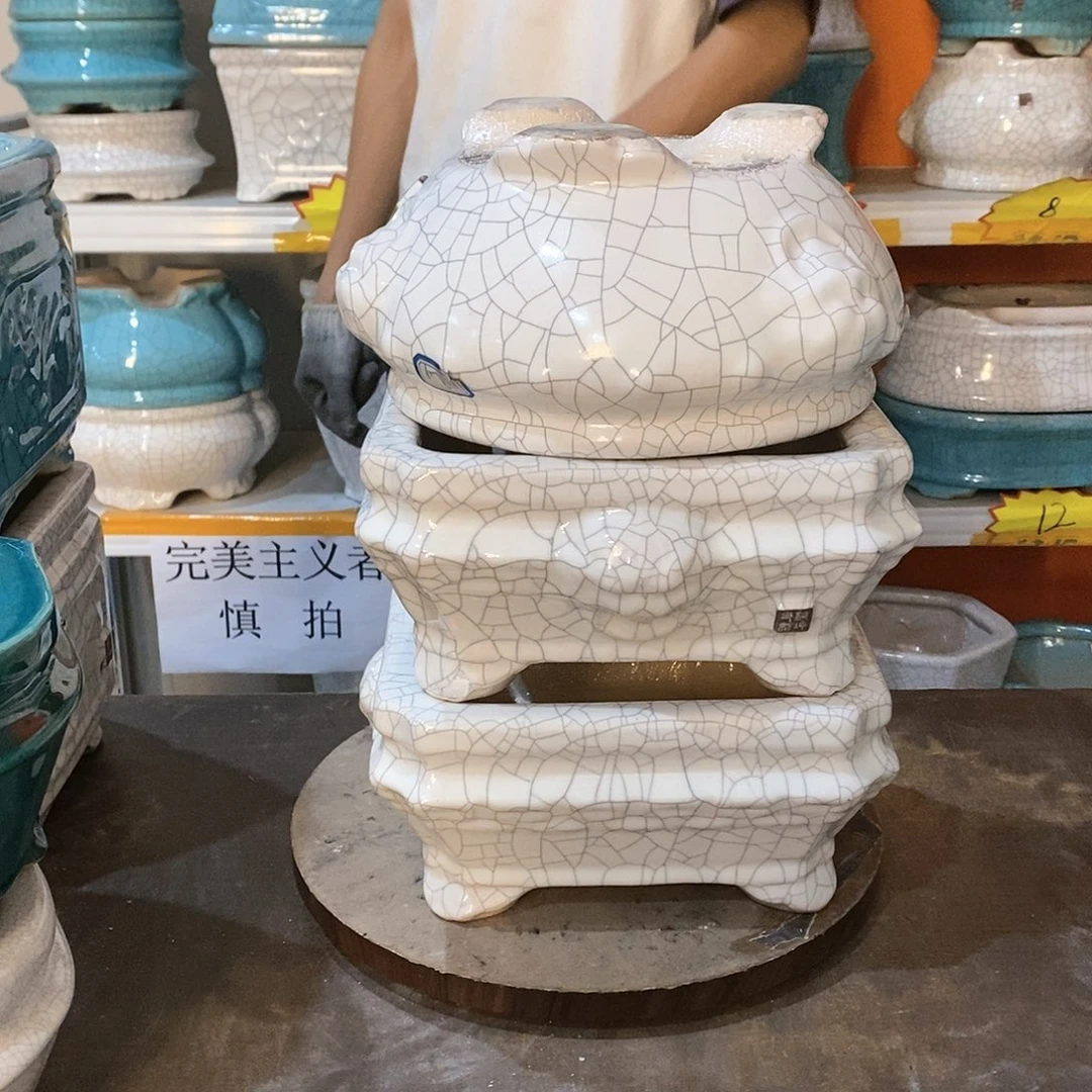 汪*花盆花盆里的小