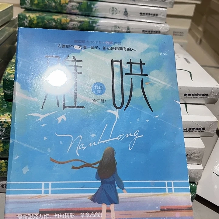 难哄全新两本一套