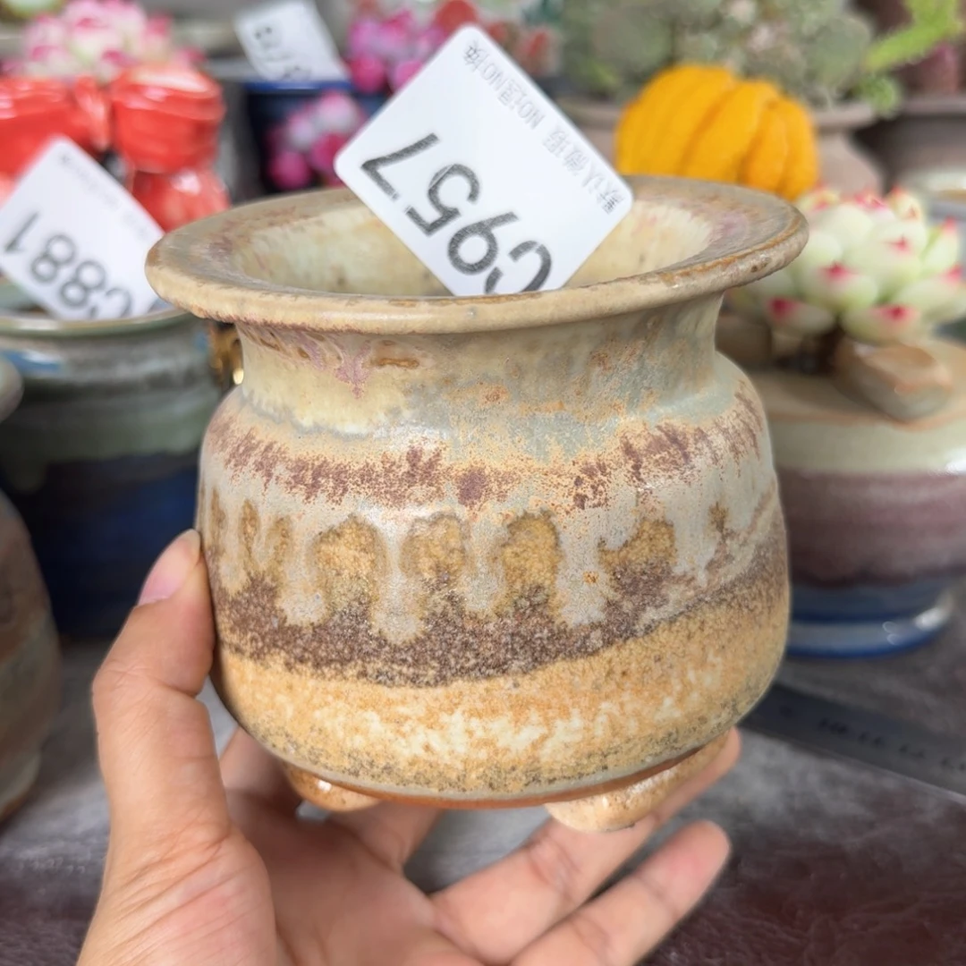 重庆小燕子欢迎大家957
