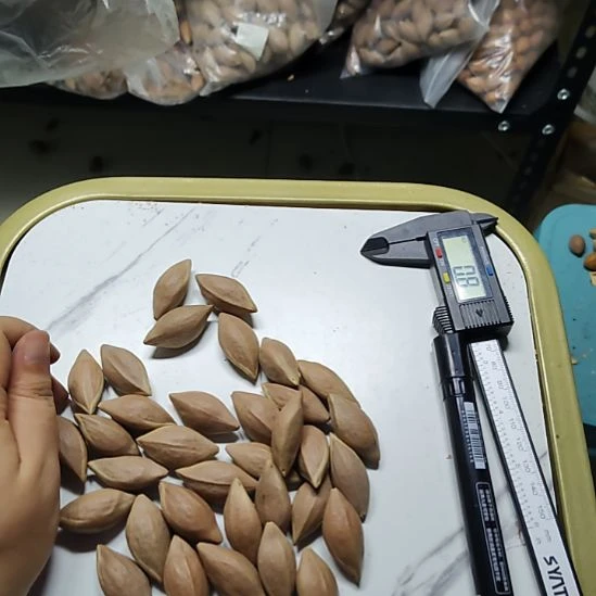 午***e吊坠橄榄核两花散籽