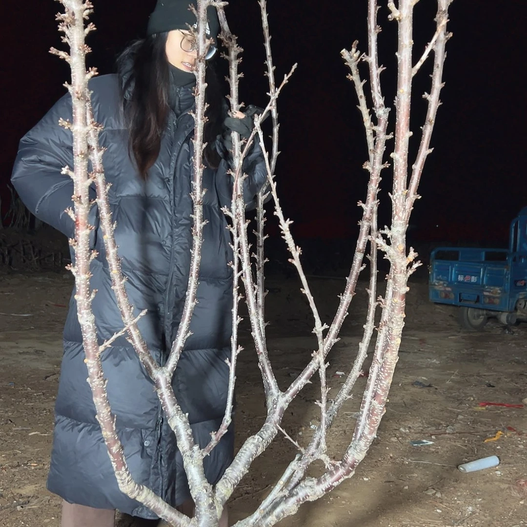 月***乐直播间专拍直播间专拍