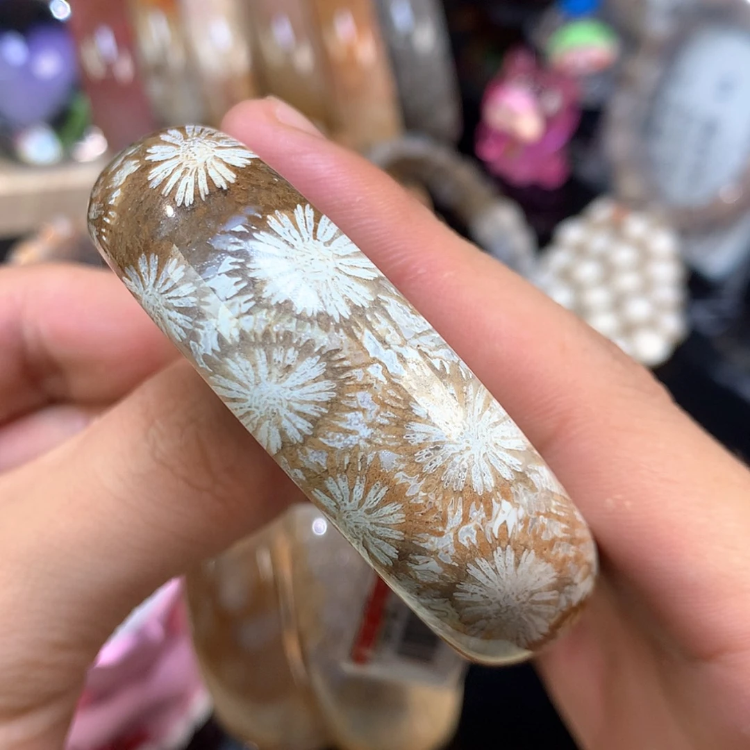 【闪购商品】颈饰未镶嵌硅化珊瑚（珊瑚玉）74号白皮赞比54.8圈