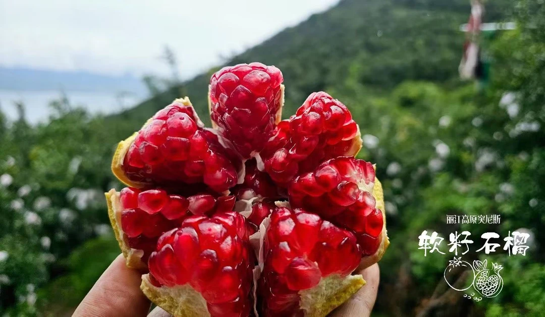 丽江高山软籽石榴新鲜采摘爆甜多汁应季水果