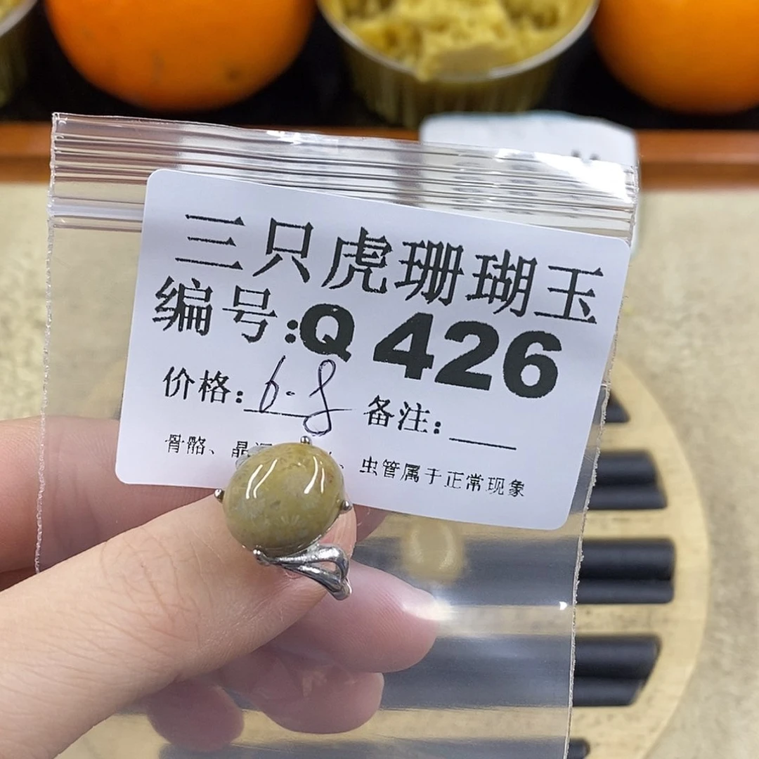 硅化珊瑚（珊瑚玉）1未镶嵌用****0